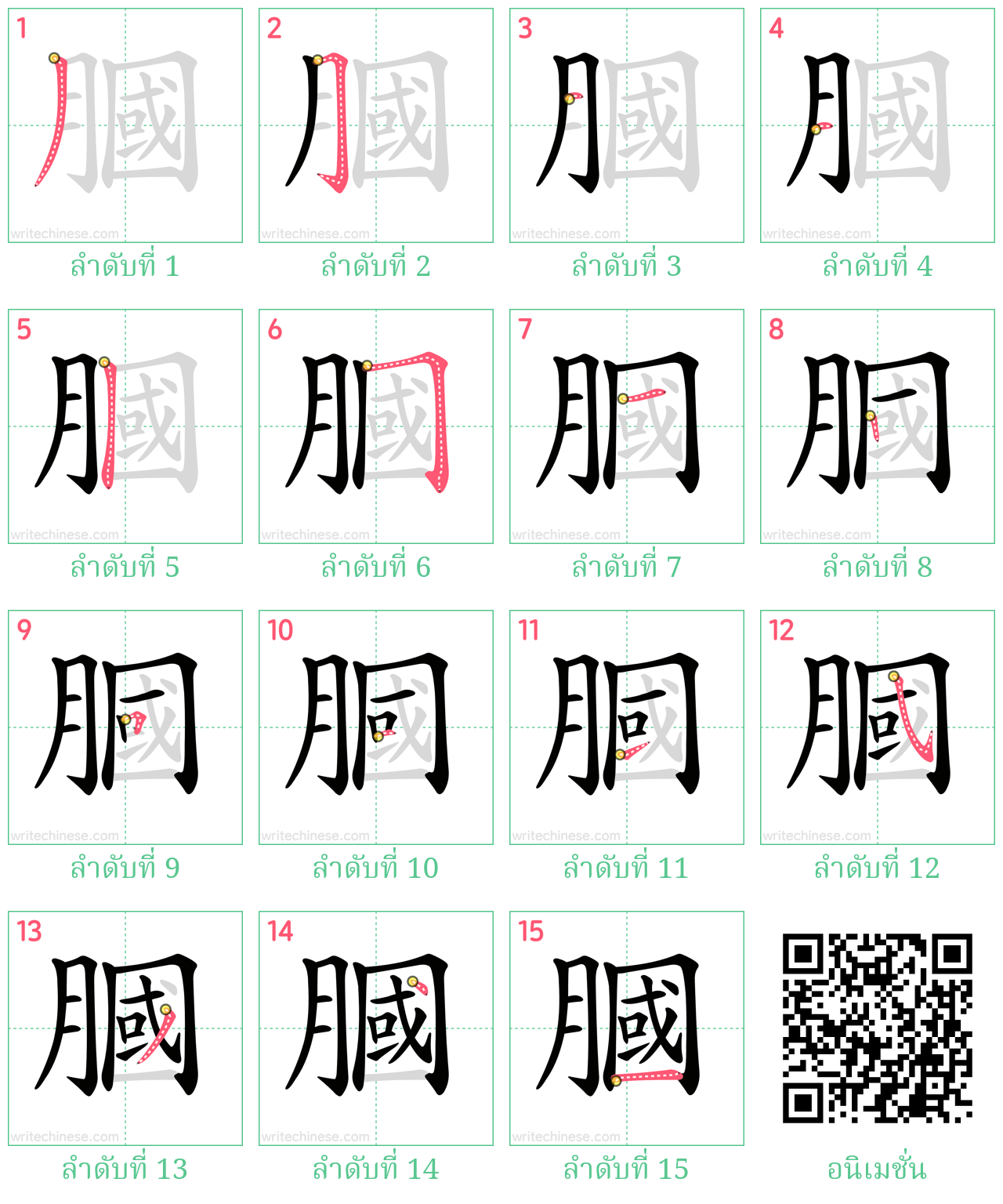 膕 ลำดับการเขียน