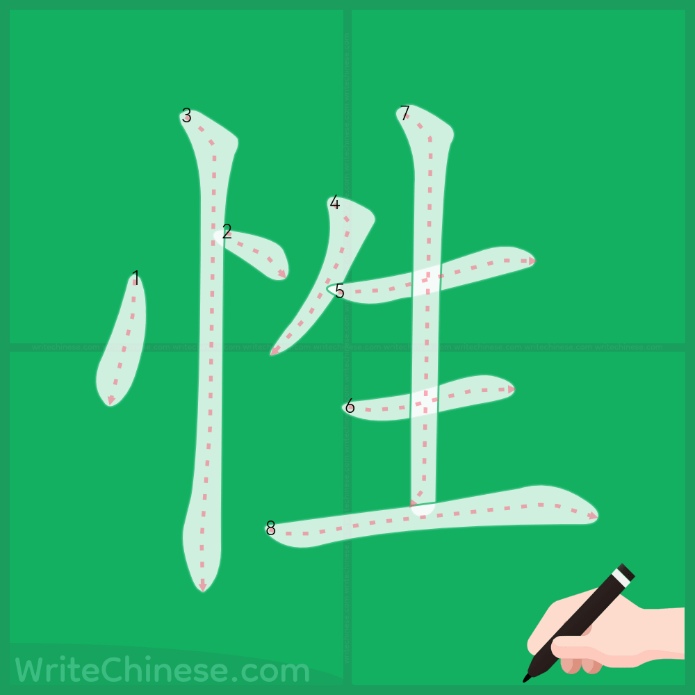 性」の書き方 - 中国語の簡体字の正しい書き順(筆順)