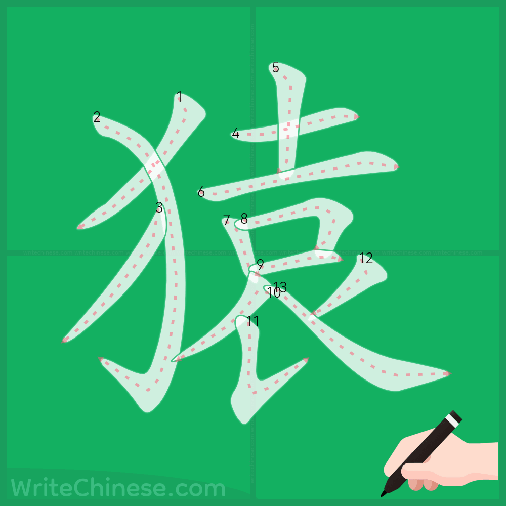 猿」の書き方 - 中国語の簡体字の正しい書き順(筆順)